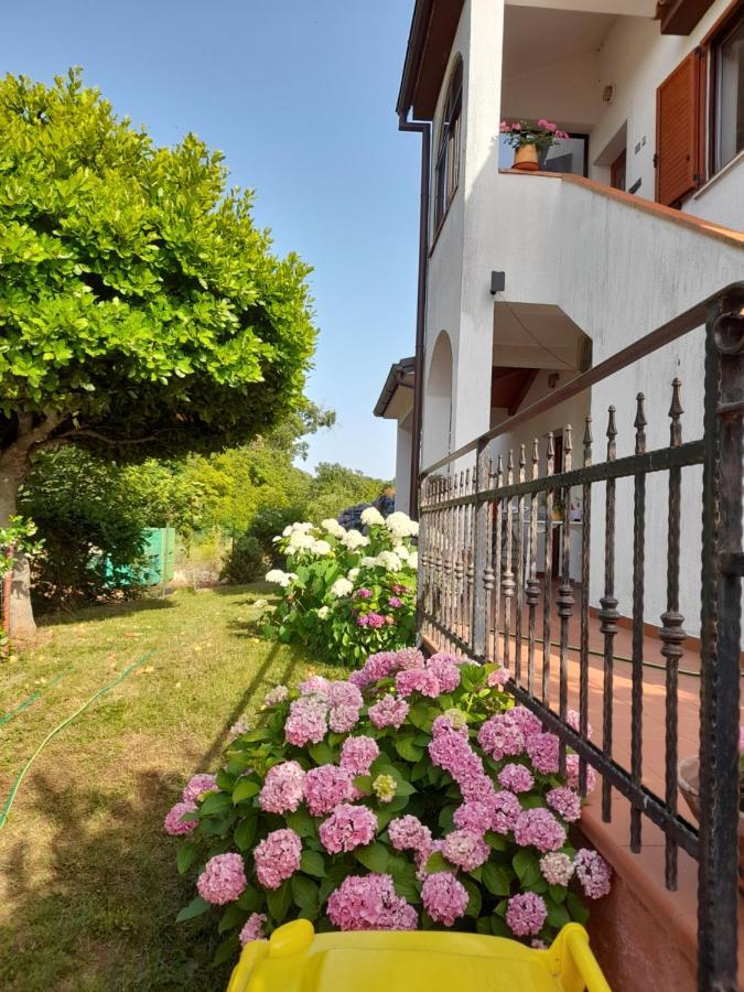 Villa Iva Poreč Buitenkant foto
